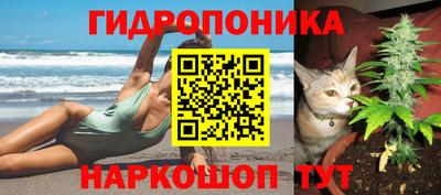 гидра Старая Купавна