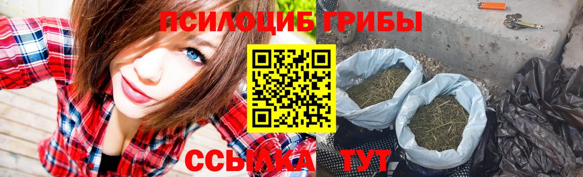 Вятские Поляны  хочу наркоту  Вход с VPN  Галлюциногенные грибы Magic Shrooms 